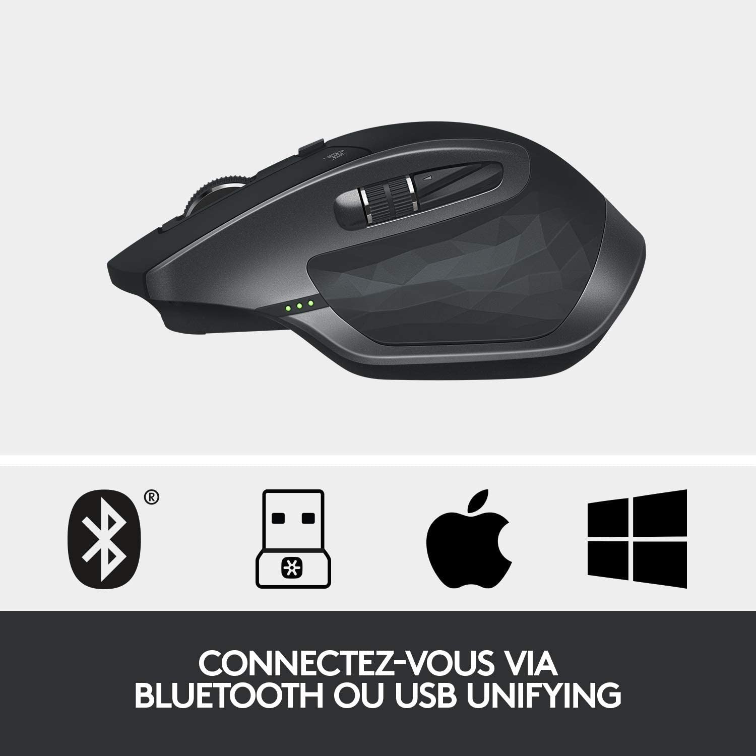 Souris LOGITECH SANS FIL MX Master 2S